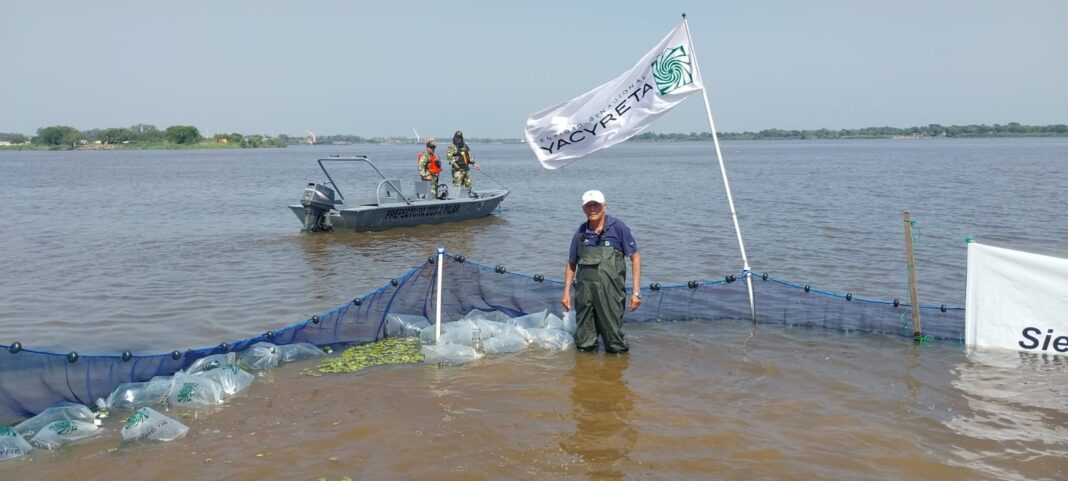 EBY sembró 2500 alevines en aguas del río Paraguay frente a Pilar